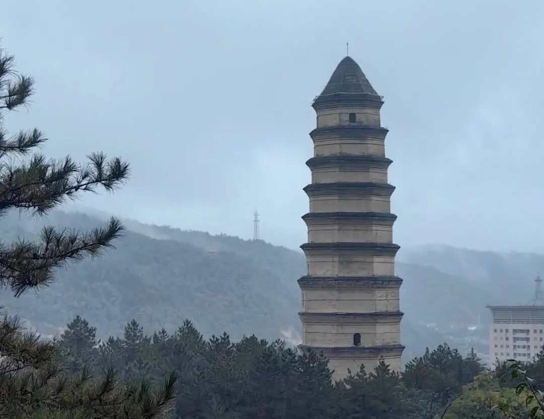 宝塔山下的特殊学校