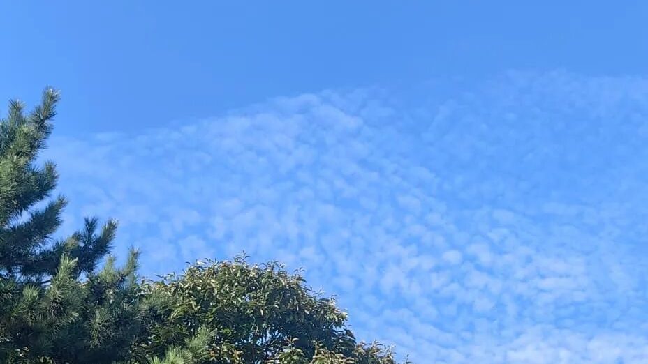 “一生要做一件正确的事”