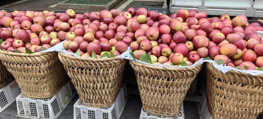 “生活”本身就是出路