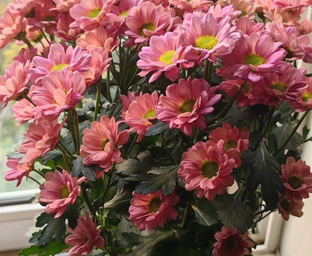 小美经济，大美生活