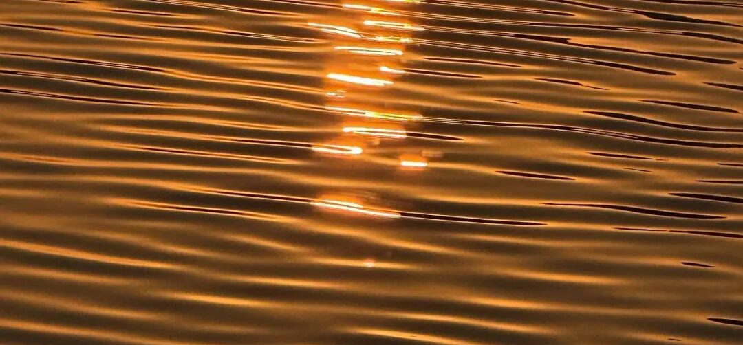 文艺青年大有用武之地！