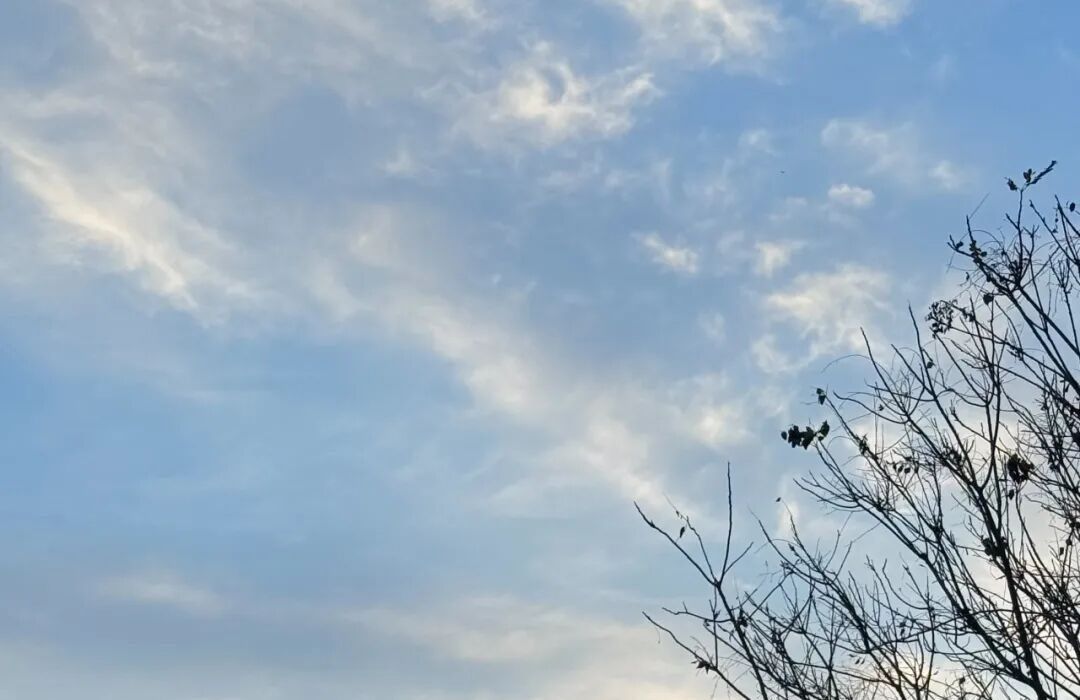 在“玩儿”中学习成长