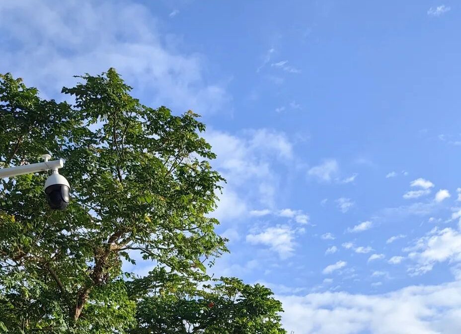 谁是我们最应该团结的“革命同志”？