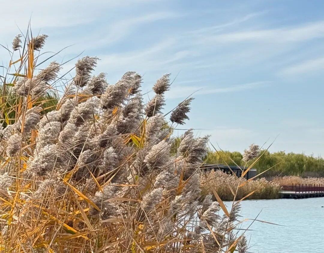 “老三届”的新故事！