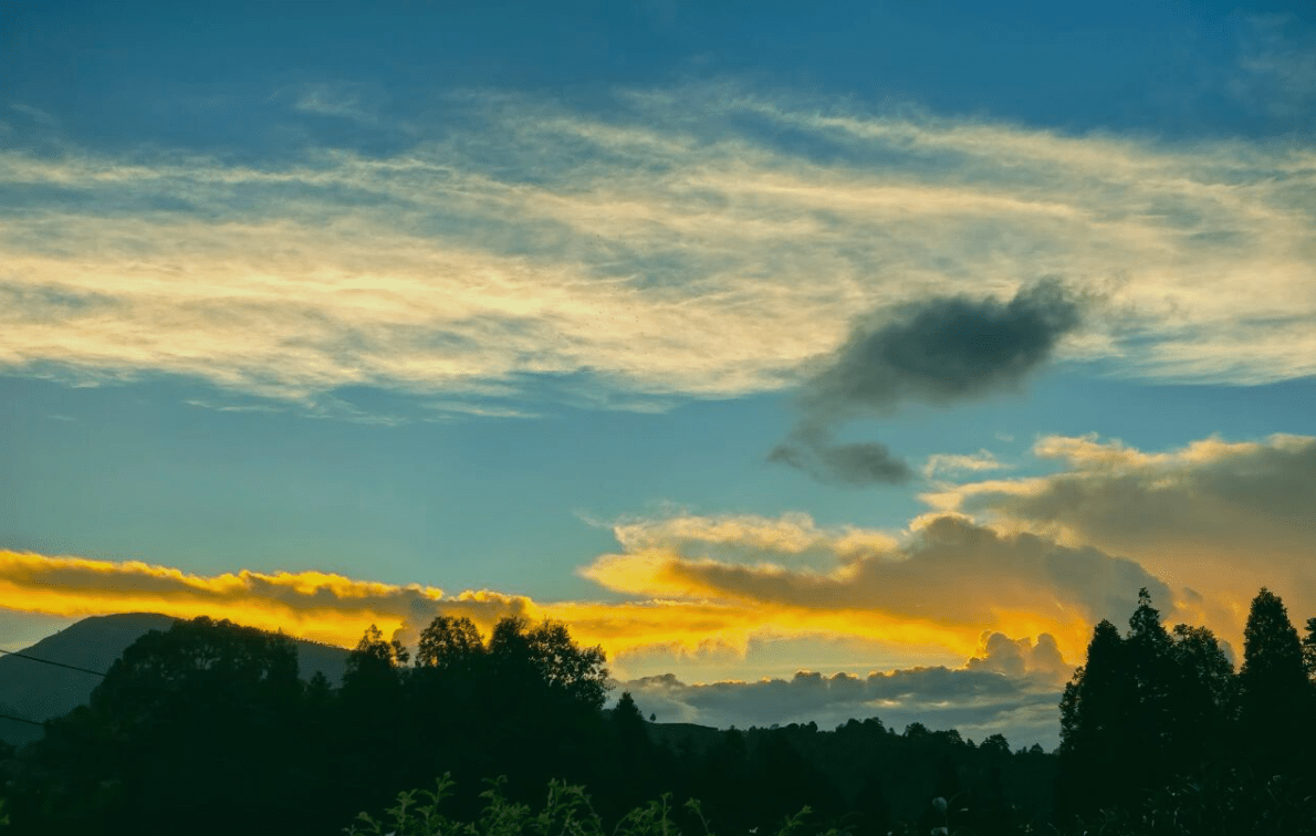 社会风气与教子无方