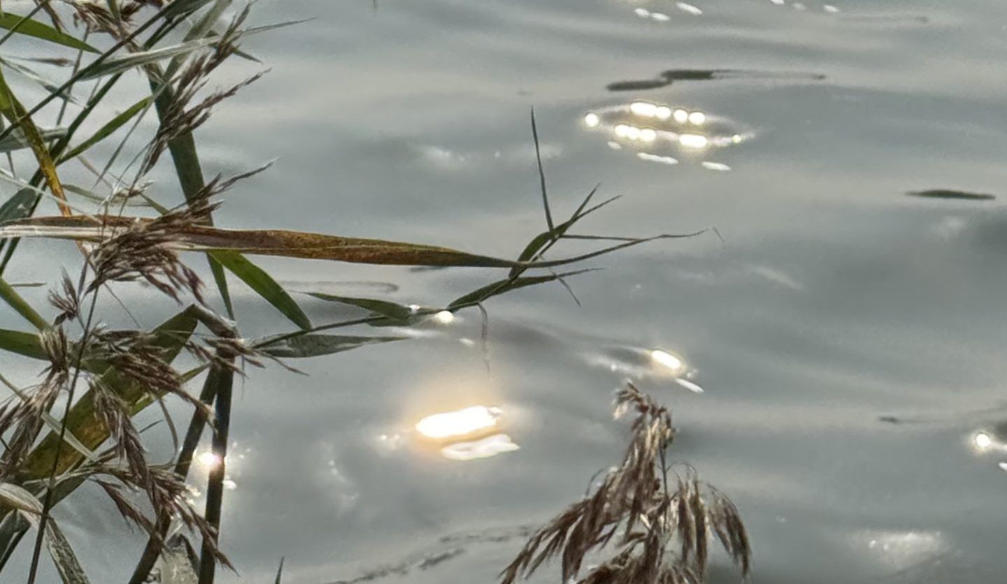 翻开生命这部大书