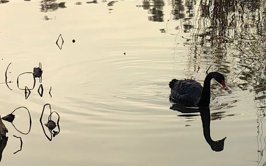 “务本”与夸父的大无畏