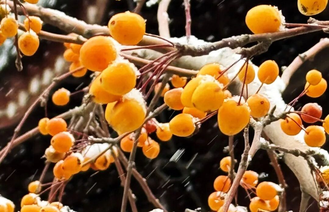 虚实相生，实事求是，发扬南泥湾的拓荒精神