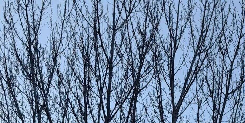 大美之家，大美生活