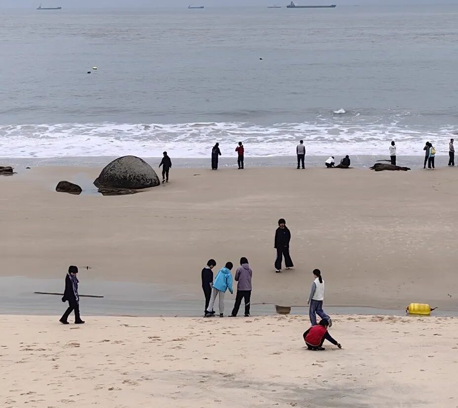 面朝大海，锣鼓英歌——“要光明才行得通”