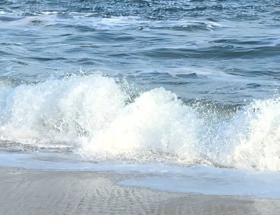 日新月异，勃勃生机——“天地万物的情义”