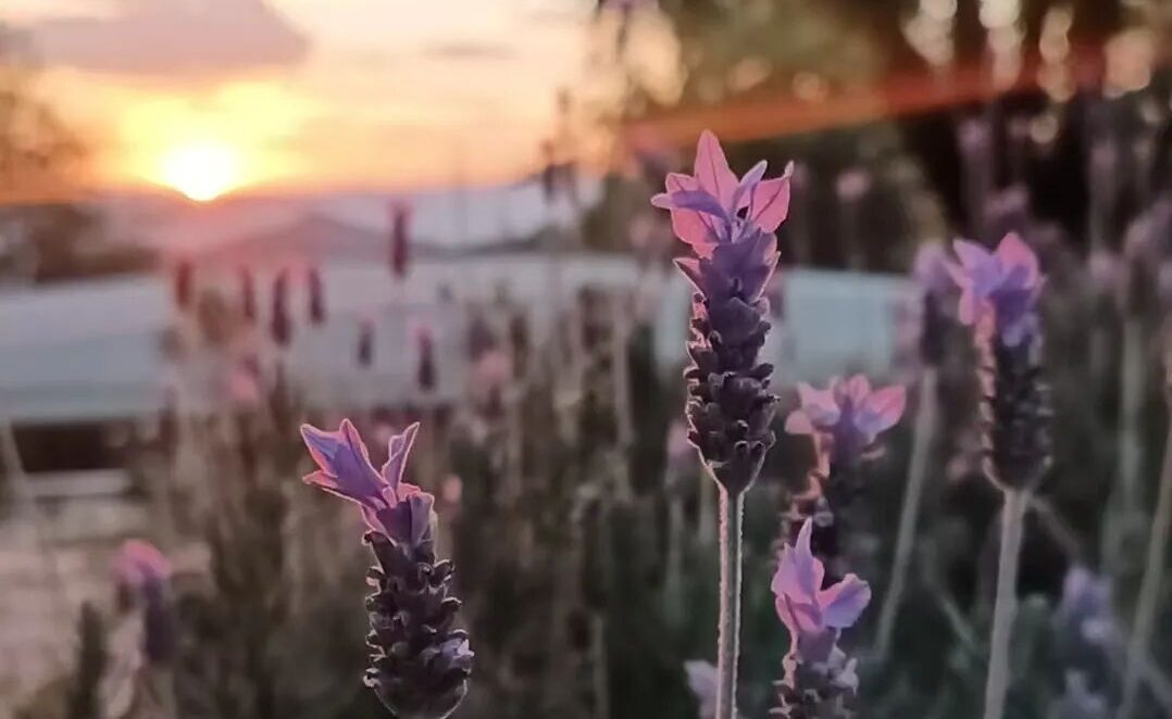 明心说文，解字正命——两位丁老师带我们做回“中国人”