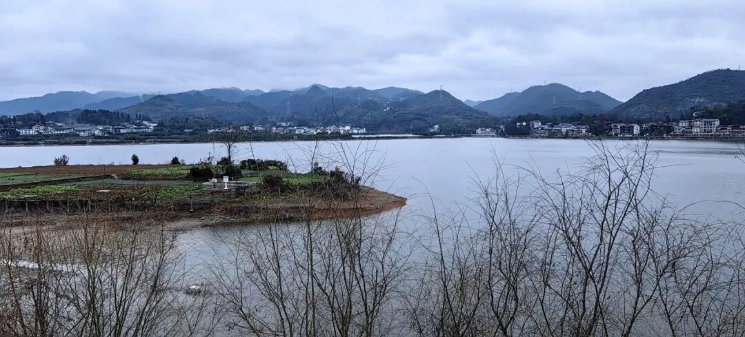 礼乐失，求诸野