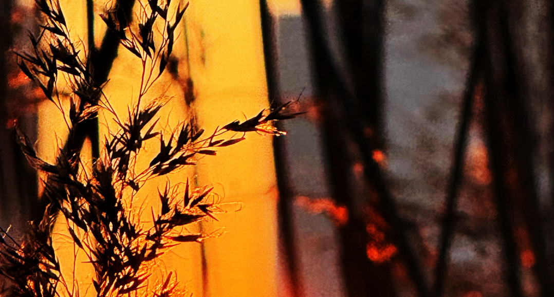 “夸父班”的前世今生