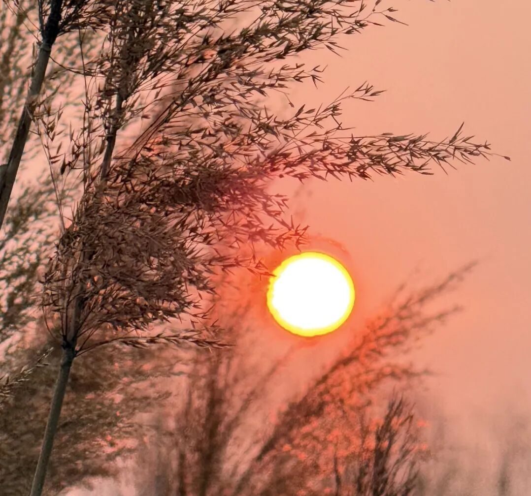 吉光片语 | 大美行者的自我书写（2026年3月8日-9日）