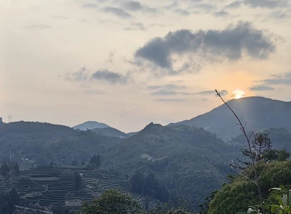 叮叮当当的书法课