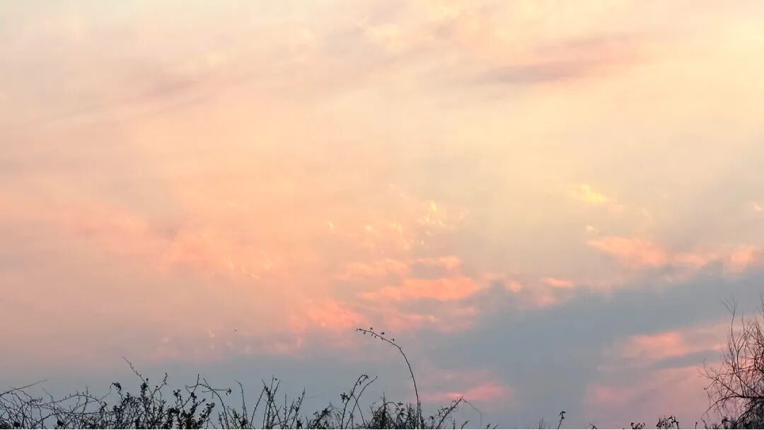 大美之家·四月 | 明师相伴，颐养身心