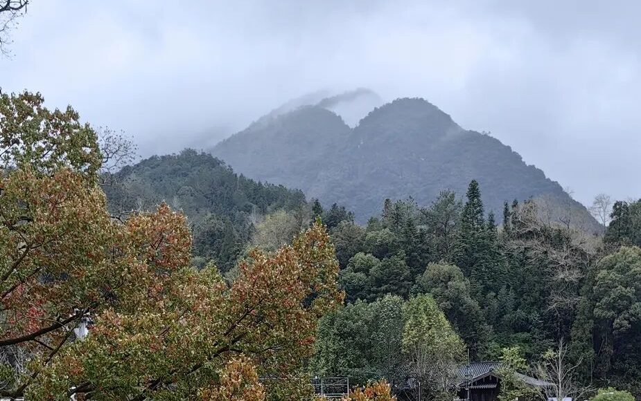 “心偏了，天不佑”