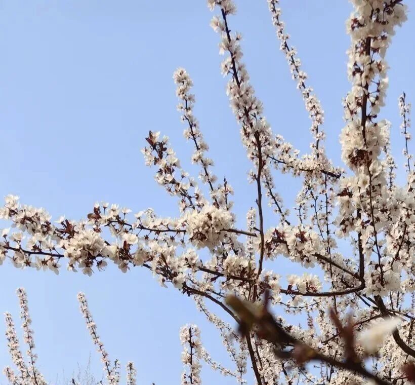 春天的使者——从“关雎阅读空间”到“关雎生活空间”