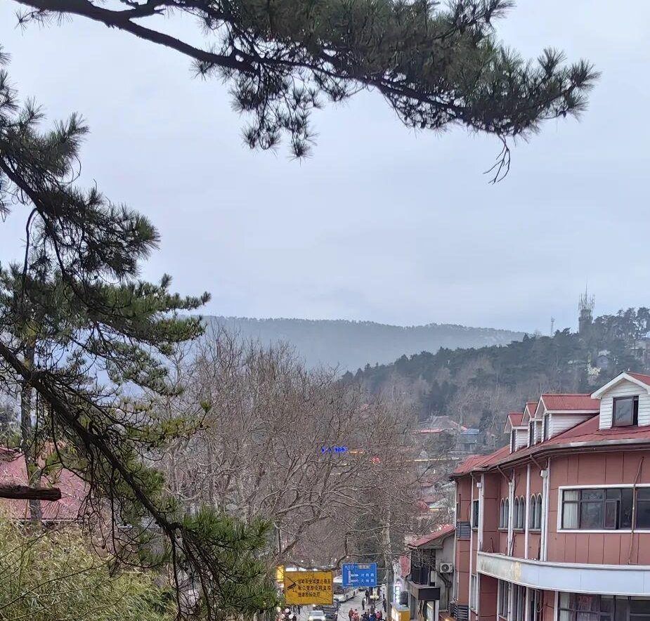 庐山论坛 1 |“就业难”是一个伪命题