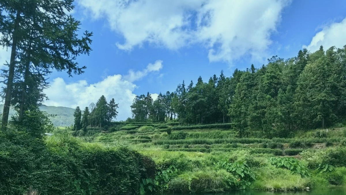 如何与宇宙的秩序“会”上？