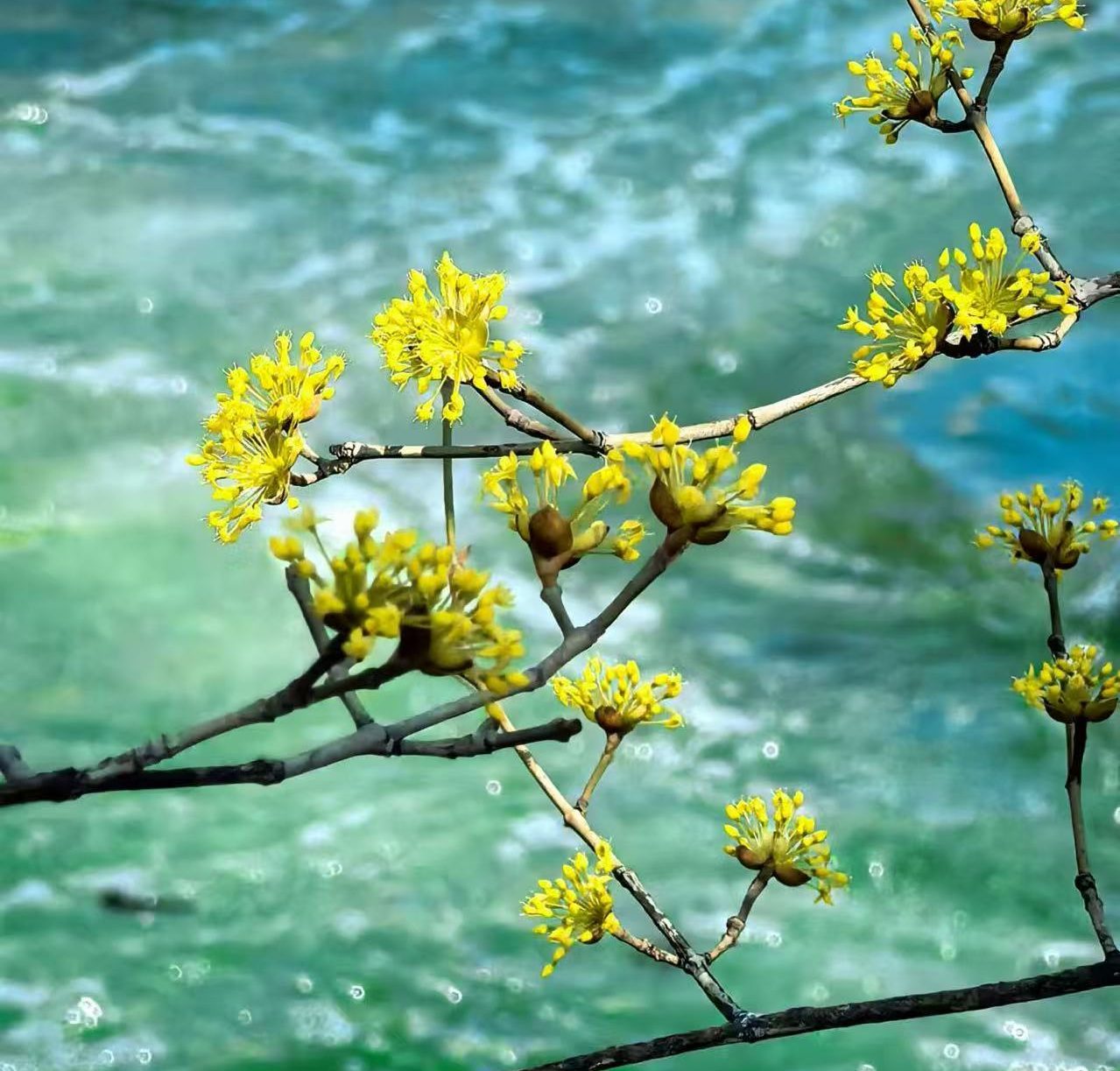 吉光片语 | 大美行者的自我书写（2026年3月18日-21日）