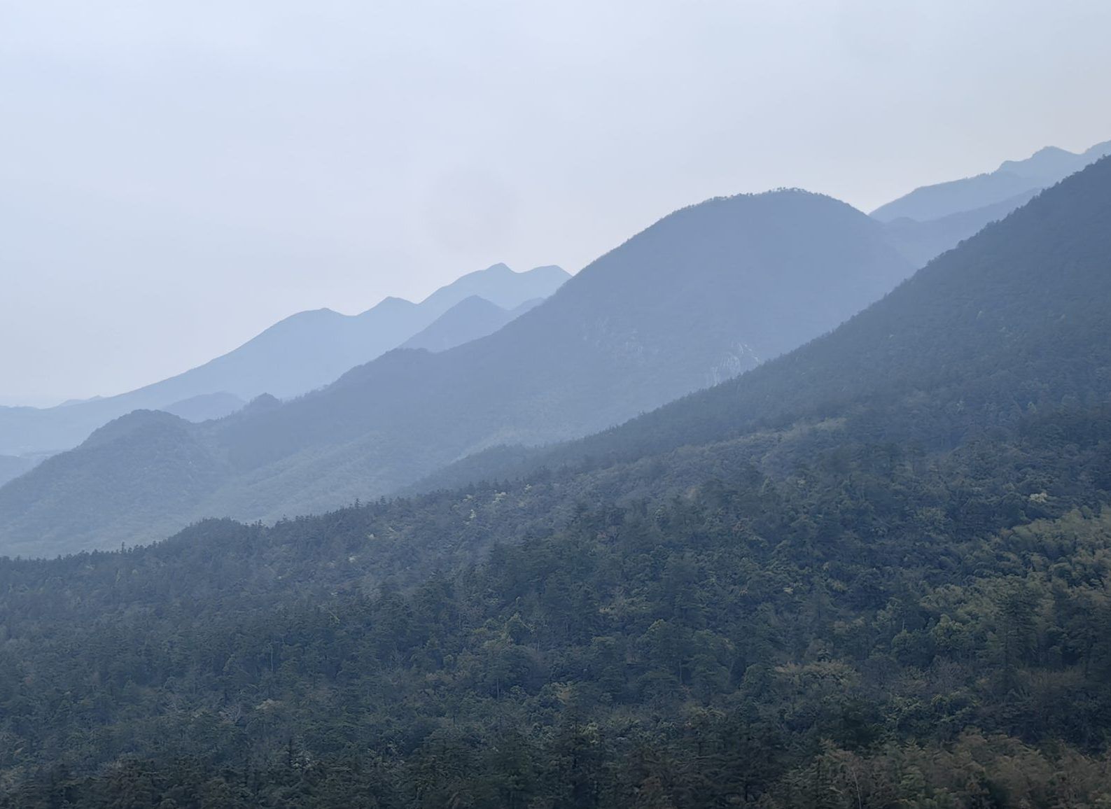 庐山论坛 2 | 如何从“盆栽”长成“热带雨林”？