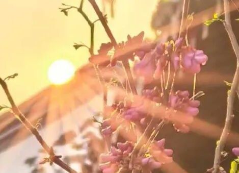 关于加入“道大”奉元班的问答