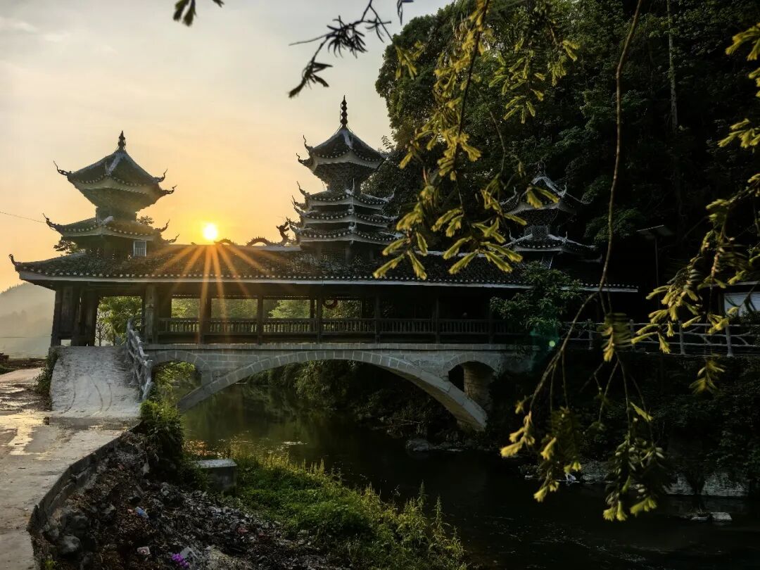 活的文化 与 简易的教育