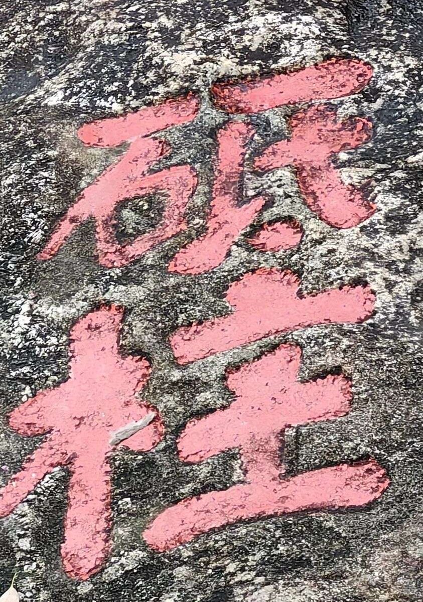 奉元-自新筑基计划（2026-2027一年制全日制共学方案）