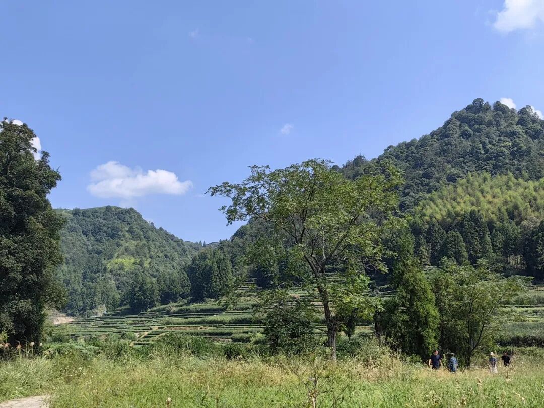 西昆合香遇知己，德馨鼻观听玉盘
